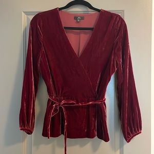 Velvet V-neck J Crew Blouse